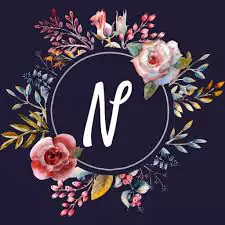 n and s name dp